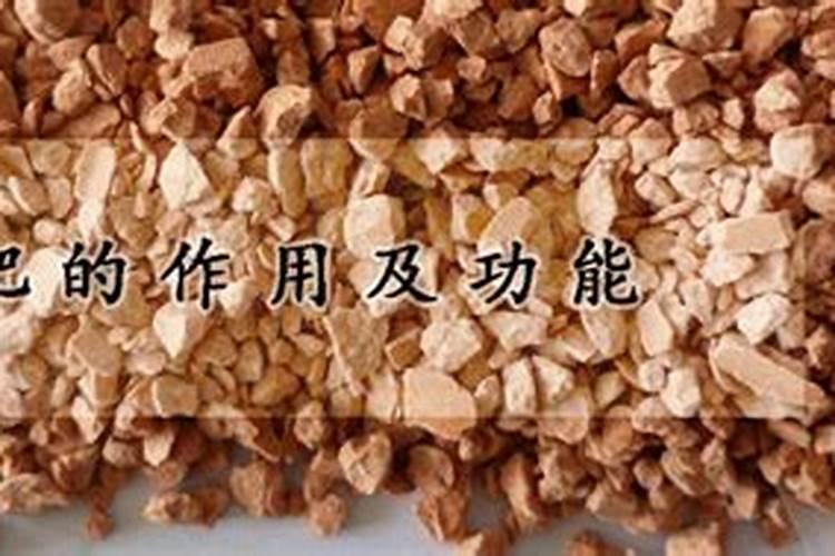 钾肥对植物的作用与功效 钾肥对植物有什么作用