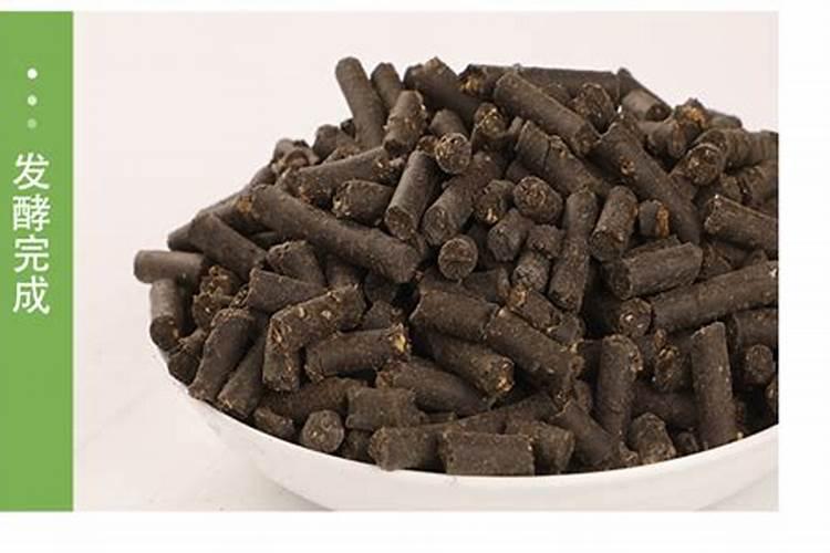 早板栗夏季什么时候施肥合适