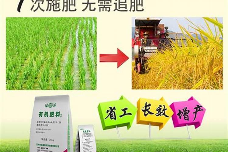 一亩水稻地要用多少化肥和农药