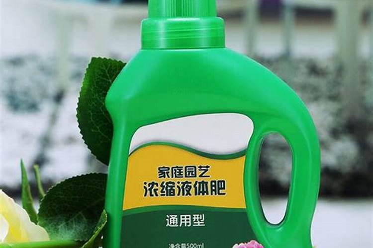 花卉叶面肥用什么好 花卉叶面肥浓度多少合适