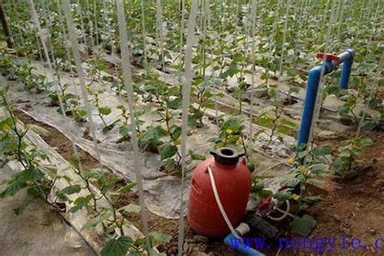 过量施肥会导致土地酸化吗