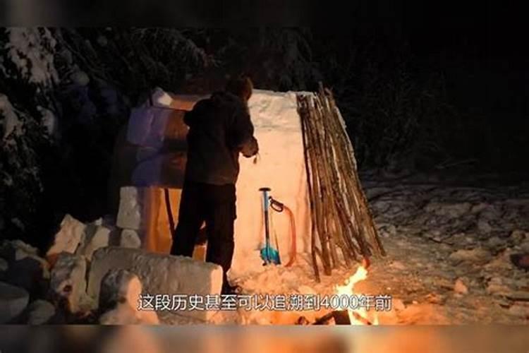 水溶肥和生物菌肥哪个前景好