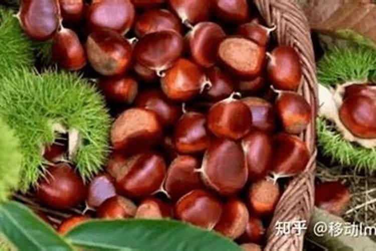 钾肥最适用哪些作物