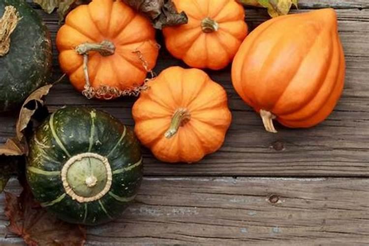 南瓜和红薯用什么肥料了