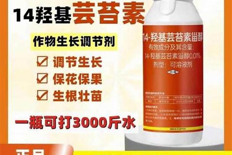 马蹄的栽种时间和方法