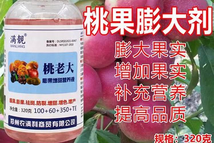 牛膝壮根叶面肥怎样用效果好,中药材牛膝地下茎块膨大剂？