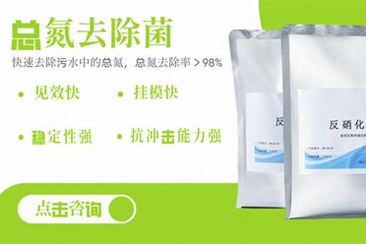 爱媛38柑橘如何栽种 种植时有哪些栽种技巧