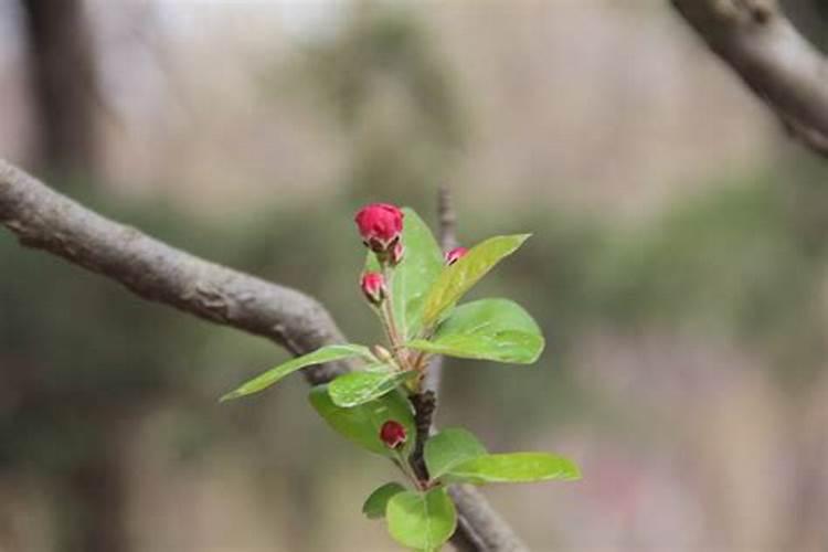 过量施用化肥有什么危害