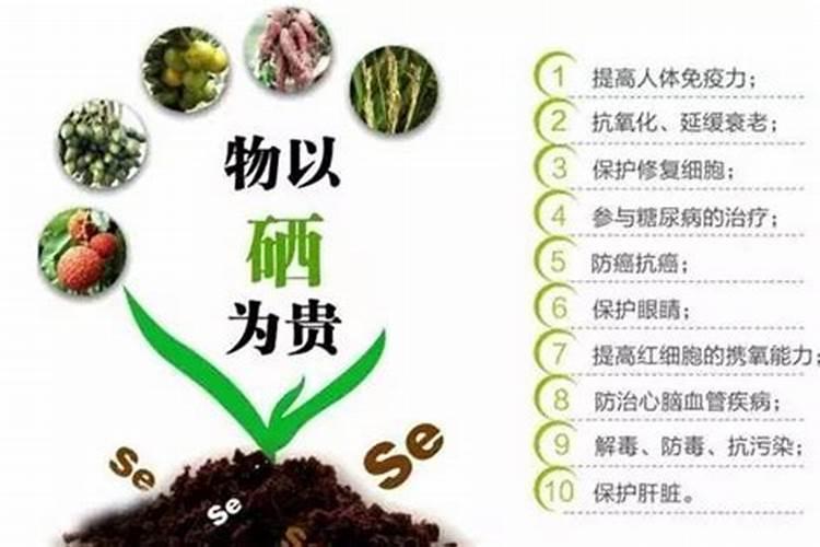 有机硒和无机硒的区别是什么？