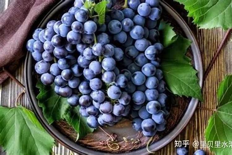 让李子更甜的方法