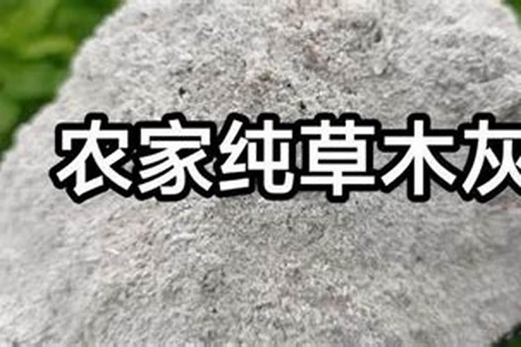 草木灰养花的正确使用方法
