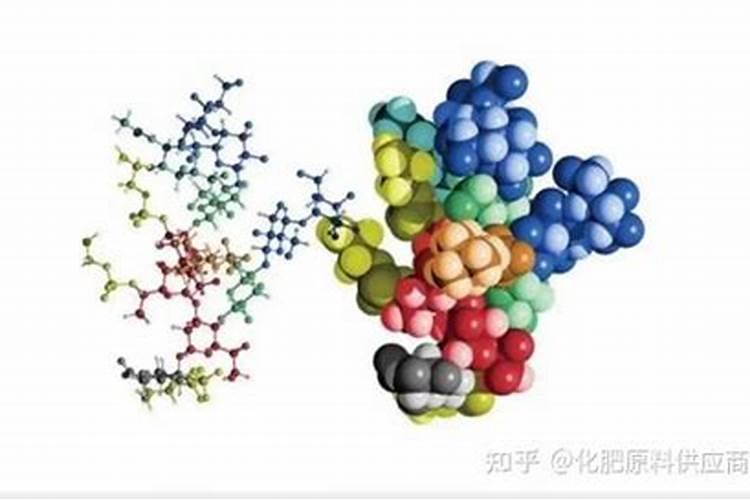 水培植物营养液的正确使用方法