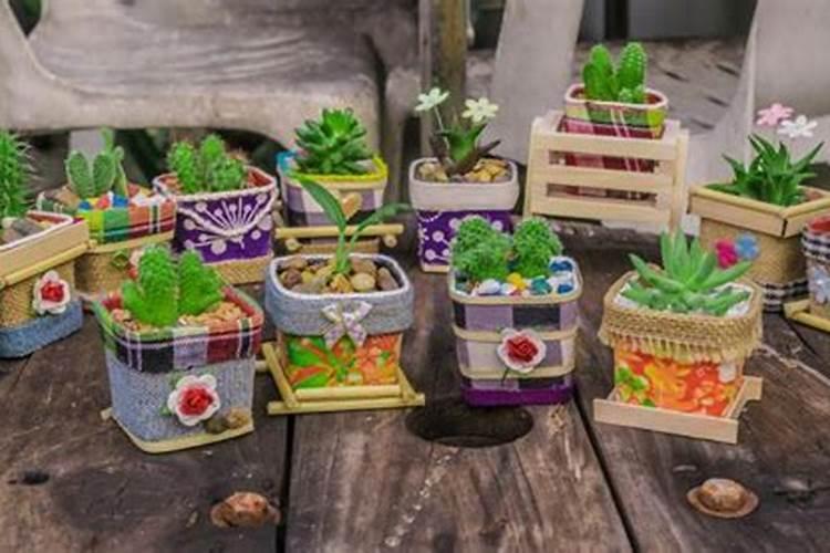 兰灵王兰花肥怎么用