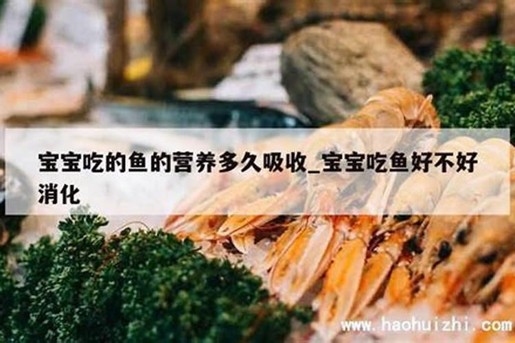 什么叫颗粒氮肥？