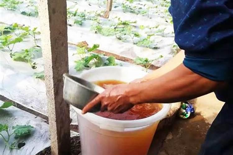 草坪用什么肥料最好