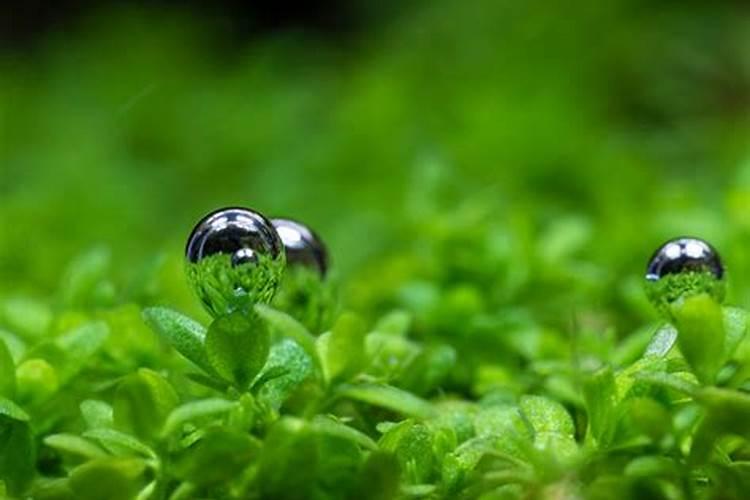 磷肥钾肥氮肥对植物有什么作用
