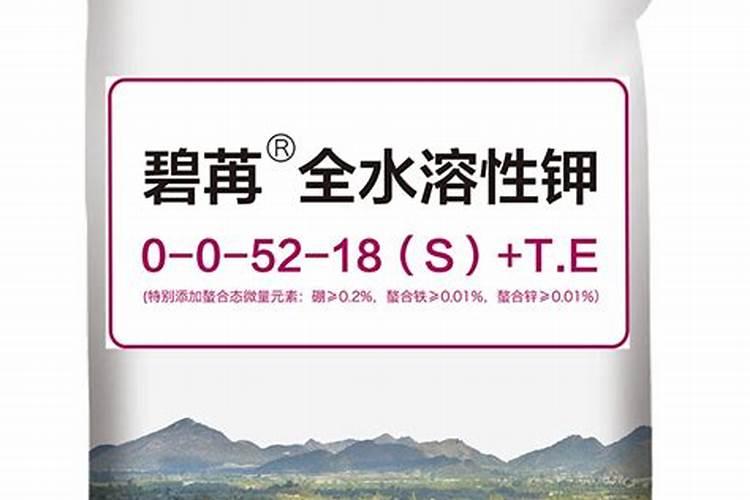 果树带套,进果套8万个,一个2.6分,一共需要多少钱？