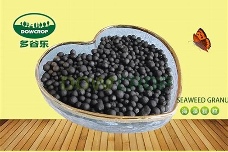 大量元素水溶肥哪个品牌好