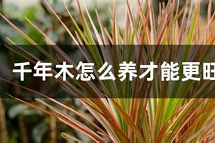 控释肥和水溶肥的区别