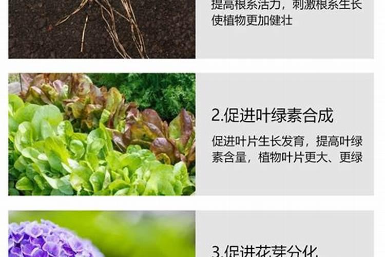 浙江衢州水业集团有限公司电话是多少？