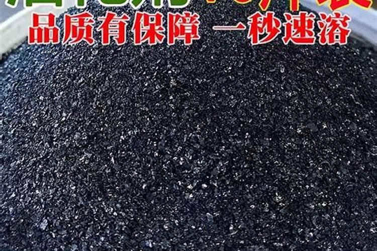 北五味子花期施肥管理方法