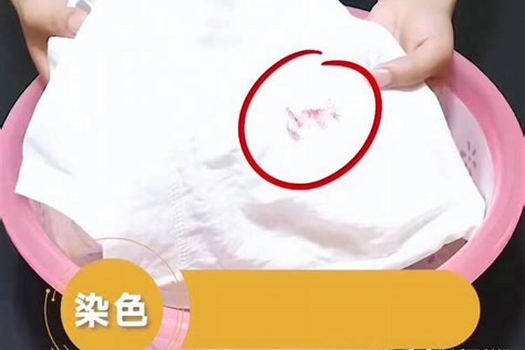 什么肥料能促长植物的根