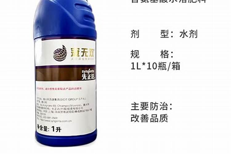 兰花开花时能施肥吗 开花的兰花能不能施肥