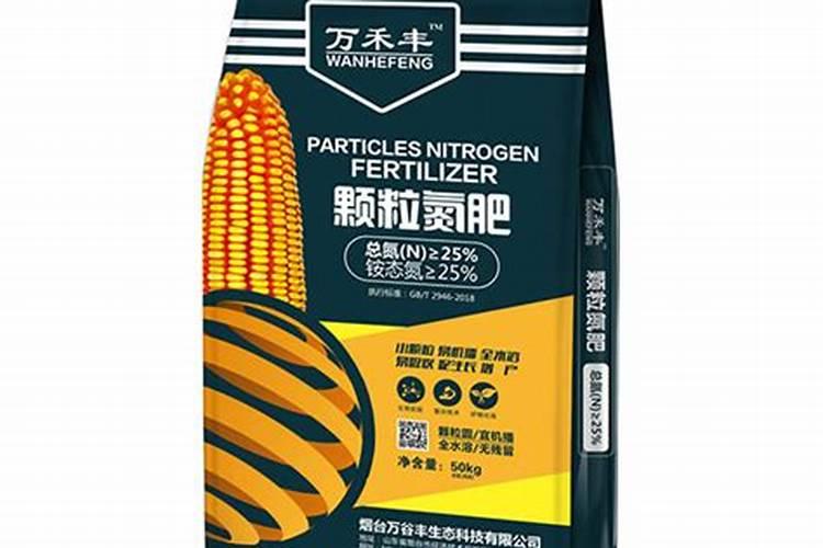 企黑墨兰养护方法