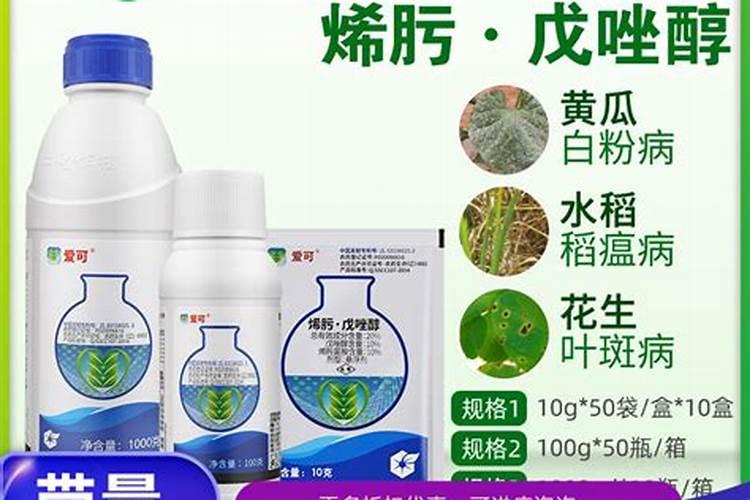 小麦上喷施硼肥有什么好处？拔节孕穗期喷2次,籽粒饱满能增产