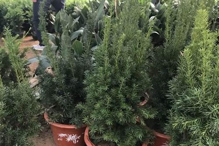 陶氏膜主要应用领域