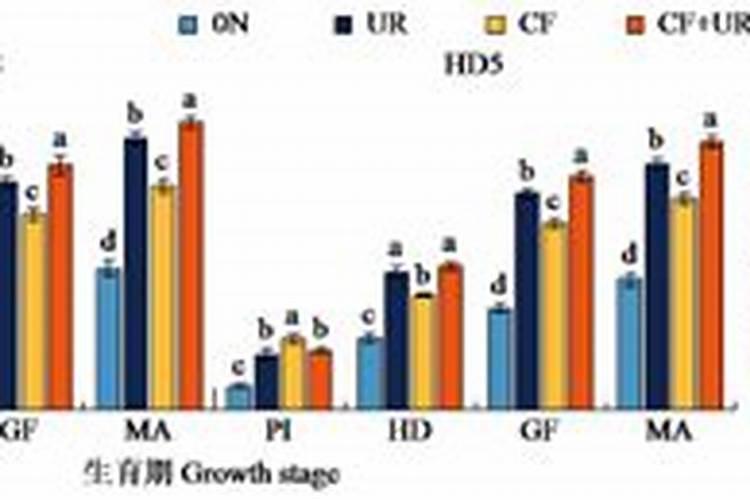 文竹浇什么才能更旺盛