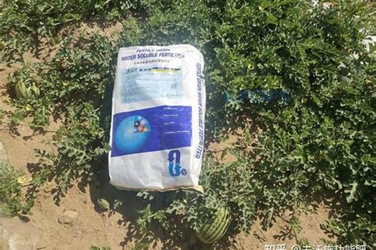 水溶肥的正确使用方法和用量
