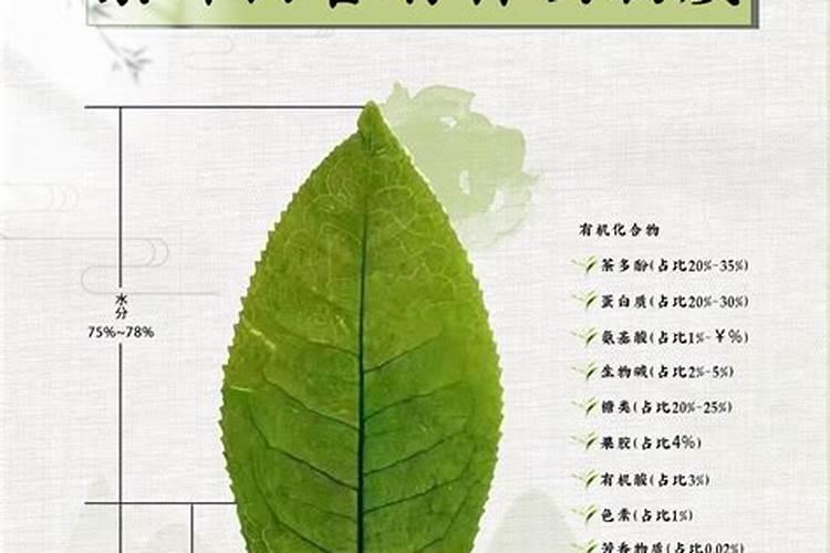 茶叶含钾浇花是否可以 茶叶含钾浇花可以吗