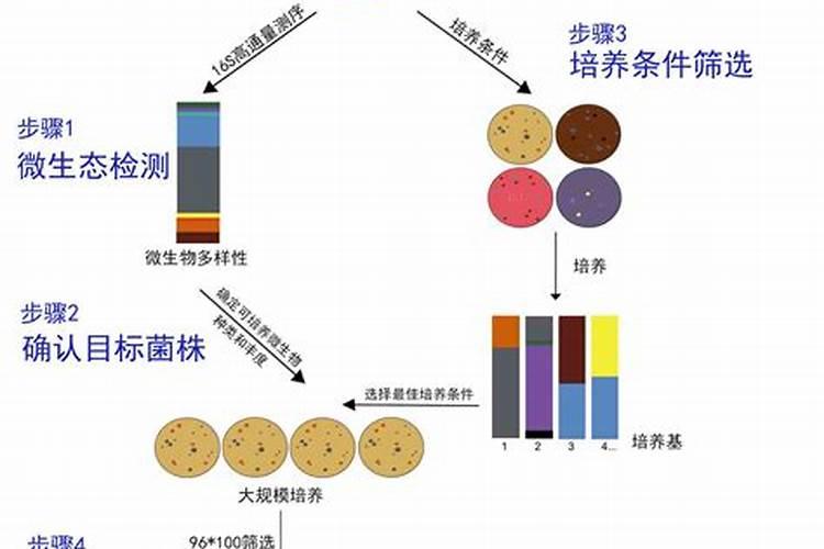 如何施肥除青苔