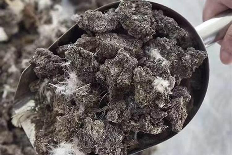 种葵花用什么肥料最好