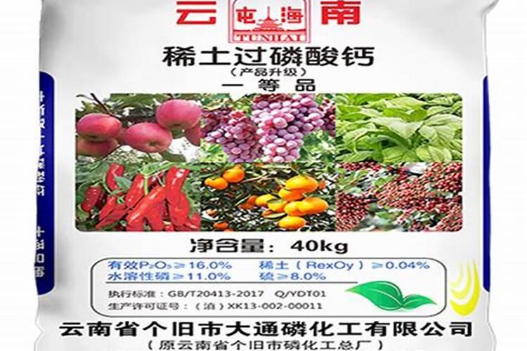 果树为什么要提倡施用叶面肥,要掌握哪些技巧