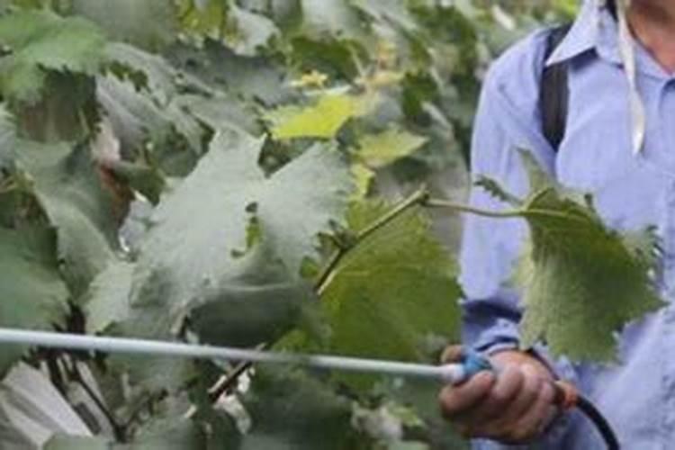 大量元素水溶肥料执行标准