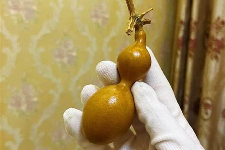 蟹爪兰施什么肥最好