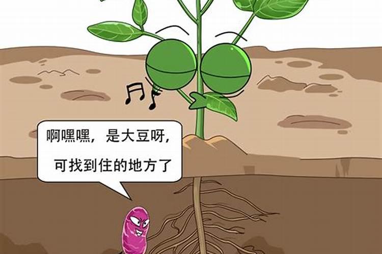 施用氮肥过多对植物有什么影响