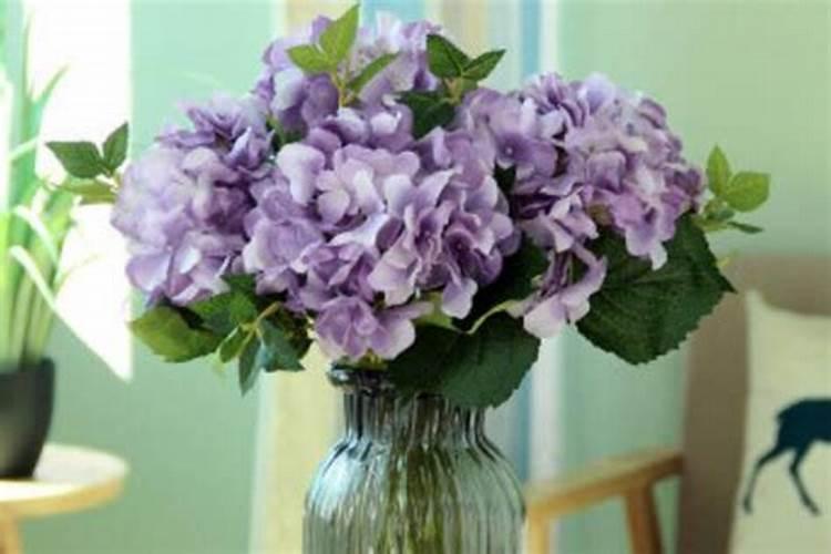 桂花树怎么施肥