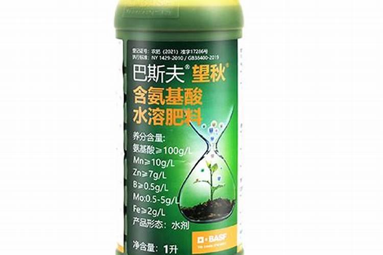 桂花的种植以及养护技巧