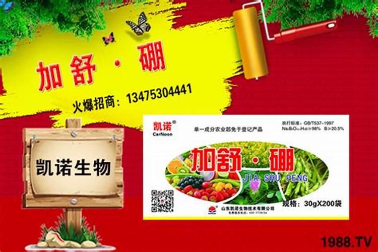 沙糖桔膨果用什么肥 如何施肥效果好