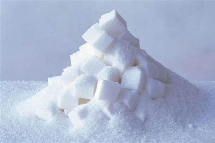 看叶子就知道君子兰生长了几年,再也不会被忽悠