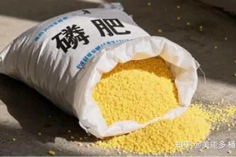 一亩新葡萄田施磷肥300斤行吗