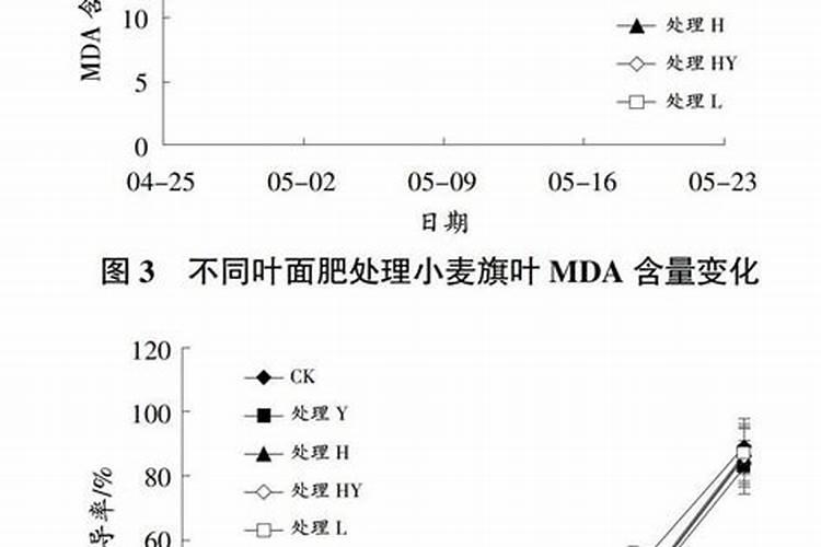 小麦打什么叶面肥增产
