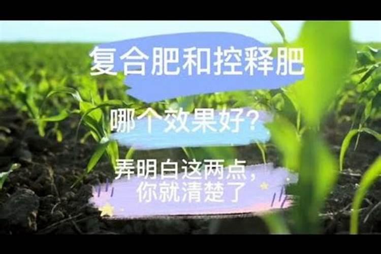 无花果树种植方法 关于无花果树种植方法