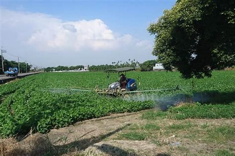 喷施除草剂时 药液里能加入氮肥吗？