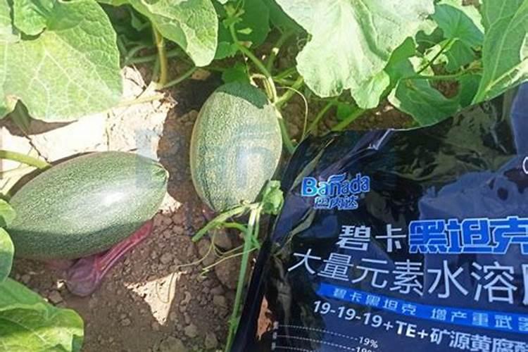 水溶肥十大品牌