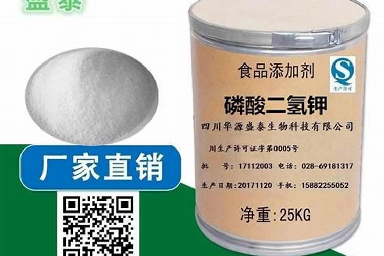 伏天黄瓜种植技术