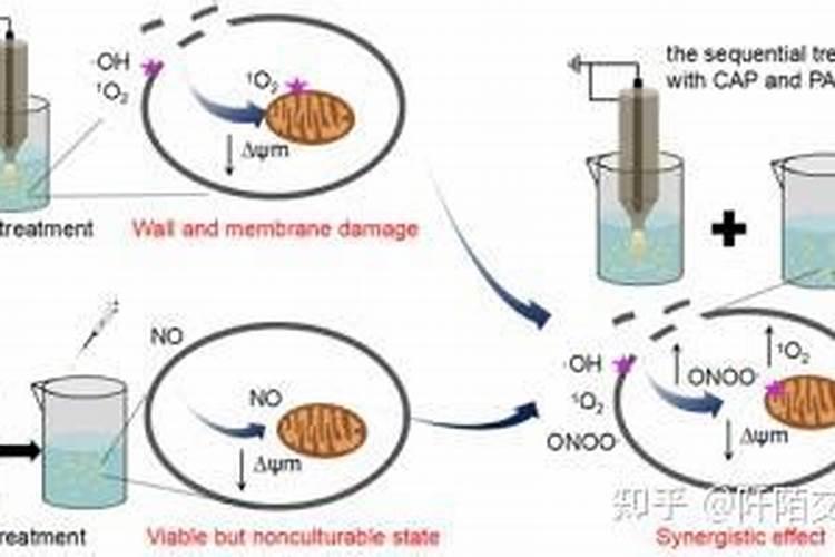生物中灭菌方法有哪些